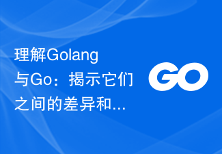 理解Golang與Go:揭示它們之間的差異與聯繫