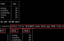 执行模糊匹配的SQL数据库查询