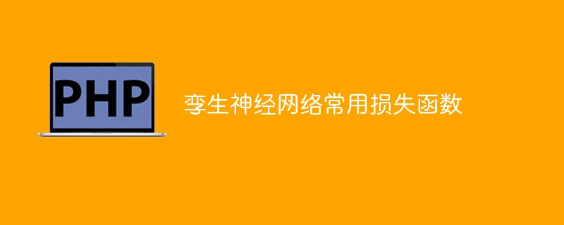 常见的损失函数在孪生神经网络中的应用