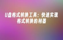 多功能U盘格式转换工具：轻松实现快速格式转换