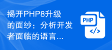Uncovering the PHP8 upgrade: analyzing the impact of language upgrades faced by developers