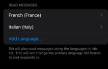 如何在iOS 17.4 Beta 1上升级后更改Siri的语音设置？