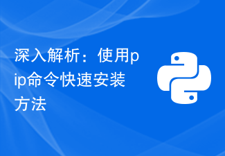 深入解析：使用pip命令快速安装方法