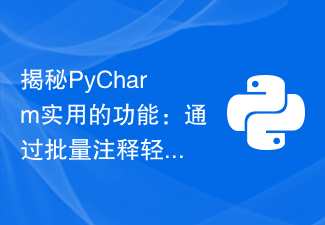 揭秘PyCharm实用的功能：通过批量注释轻松维护代码