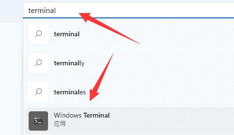 如何解决win11中找不到wt.exe的问题?重新获取win11中wt.exe程序的方法