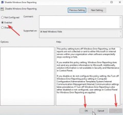 禁用win11錯誤報告服務的步驟