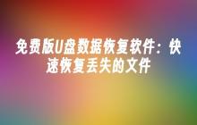 免费版U盘数据恢复软件:快速恢复丢失的文件