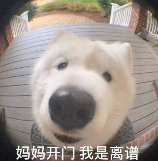 离谱！《幻兽帕鲁》出现火箭队，玩家们开始用外挂对抗外挂