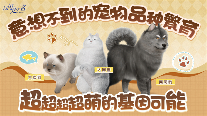 看以闪亮之名最新爆料,女性向游戏终于有人带头吃好的了!