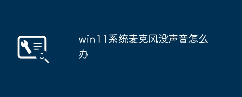 win11系統麥克風沒聲音怎麼辦