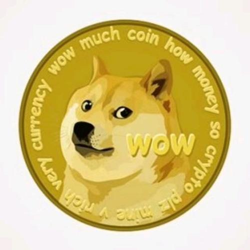 Wie viele Dogecoins kann man mit 100 Yuan kaufen?