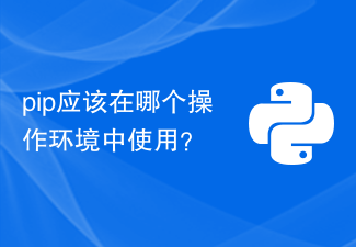 pip应该在哪个操作环境中使用？