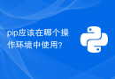 pip应该在哪个操作环境中使用？