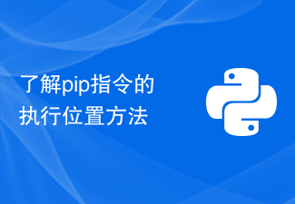 了解pip指令的执行位置方法