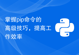 掌握pip命令的高级技巧，提高工作效率