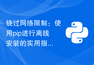 绕过网络限制：使用pip进行离线安装的实用指南