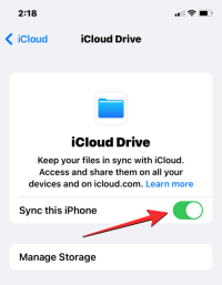 如何在iPhone上访问文件
