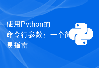 使用Python的命令行参数：一个简易指南