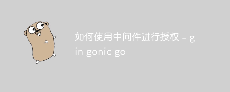 如何使用中间件进行授权 - gin gonic go