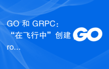 GO 和 GRPC：“在飞行中”创建 protobuff 类