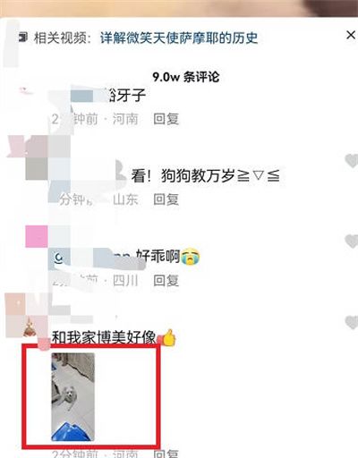 How to save pictures in Douyin comment area to album