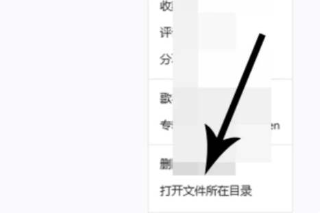 So laden Sie NetEase Cloud Music auf eine U-Disk herunter