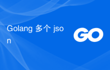 Golang 多个 json
