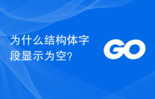 为什么结构体字段显示为空？