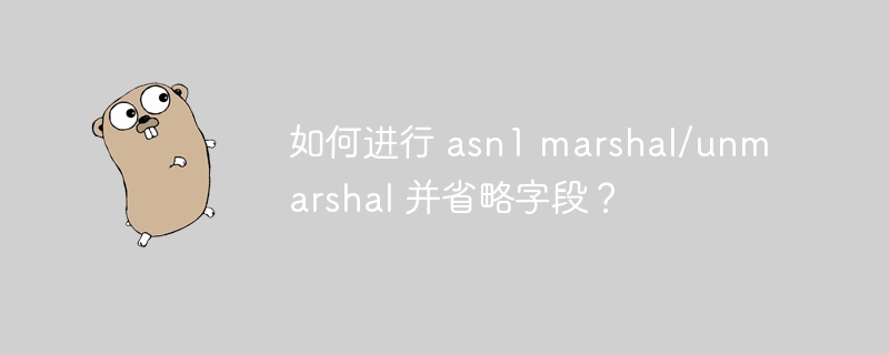 如何进行 asn1 marshal/unmarshal 并省略字段？