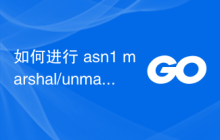 如何进行 asn1 marshal/unmarshal 并省略字段？