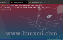 Linux 中 SSH 的使用和配置：远程控制和文件传输的利器