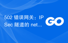 502 错误网关：IPSec 隧道的 net/http GET 失败