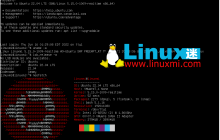 Linux 新手常见的 10 个认知误区