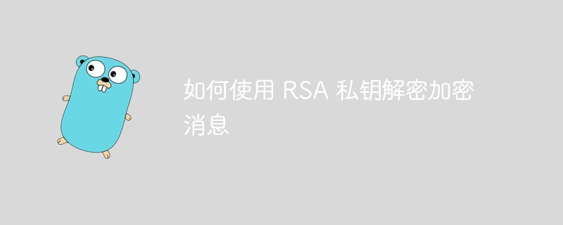 如何使用 rsa 私钥解密加密消息