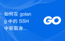 如何在 golang 中的 SSH 中获取身份验证回调的连接字符串？