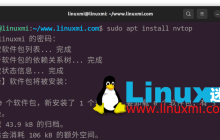 nvtop – 出色的 Linux 任务监视器