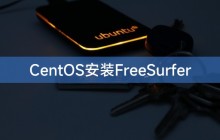 CentOS安装FreeSurfer
