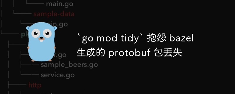 `go mod tidy` 抱怨 bazel 生成的 protobuf 包丢失