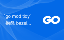 `go mod tidy` 抱怨 bazel 生成的 protobuf 包丢失