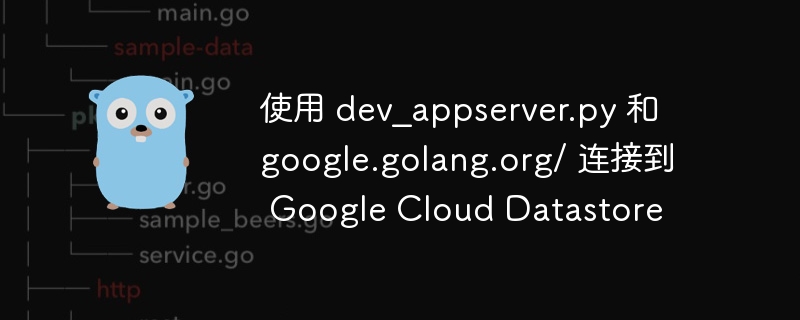 使用 dev_appserver.py 和 google.golang.org/ 连接到 google cloud datastore