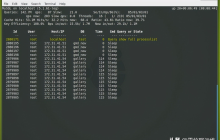 如何使用Linux监控MySQL，保障数据库运行稳定性