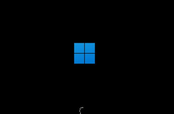 Dell laptop cannot install system