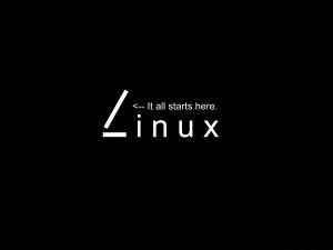 Linux 进程的唤醒和睡眠