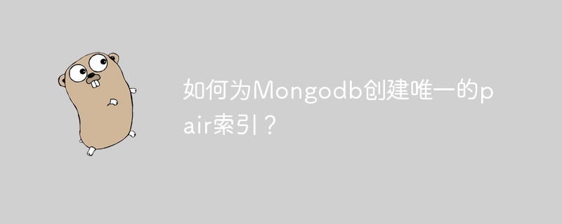如何为mongodb创建唯一的pair索引？