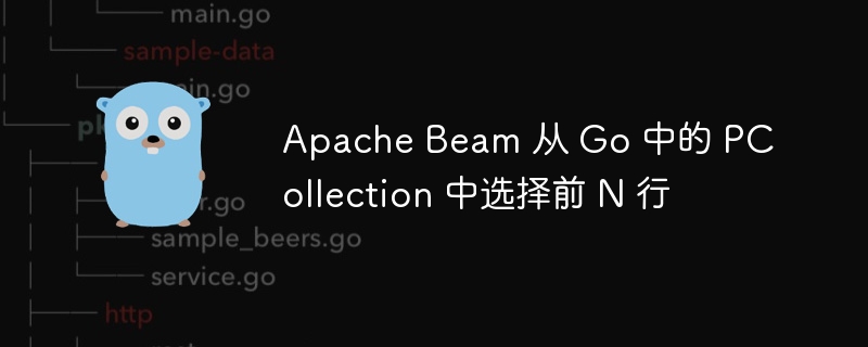 apache beam 从 go 中的 pcollection 中选择前 n 行