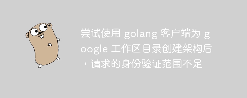 尝试使用 golang 客户端为 google 工作区目录创建架构后，请求的身份验证范围不足