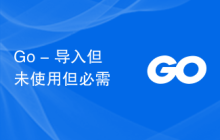 Go - 导入但未使用但必需