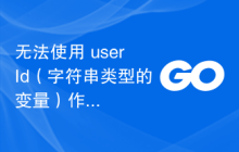 无法使用 userId（字符串类型的变量）作为结构文字中的 int 值
