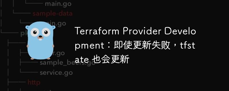 terraform provider development：即使更新失败，tfstate 也会更新