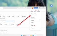 迅雷11怎么设置任务管理 配置方法教程